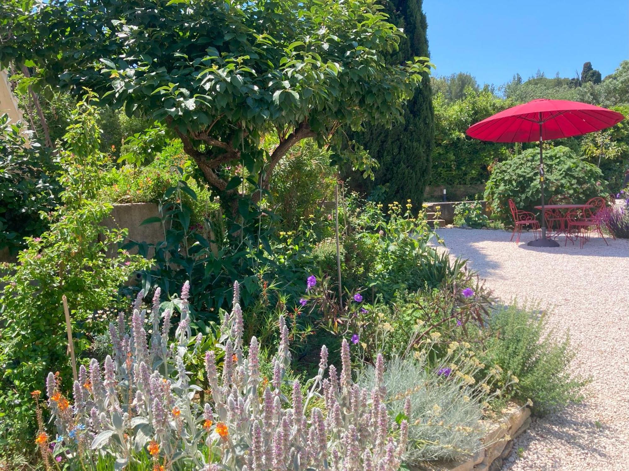 טולון Haut De Villa Avec Terrasse Privative Jardin Et Parking Tout Pres Des Plages מראה חיצוני תמונה